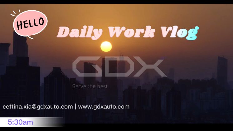 Cettina xia gdxauto sourcing daily work